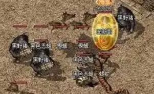微变到底该先做哪步?道士玩家和法师玩家走一遍差在哪